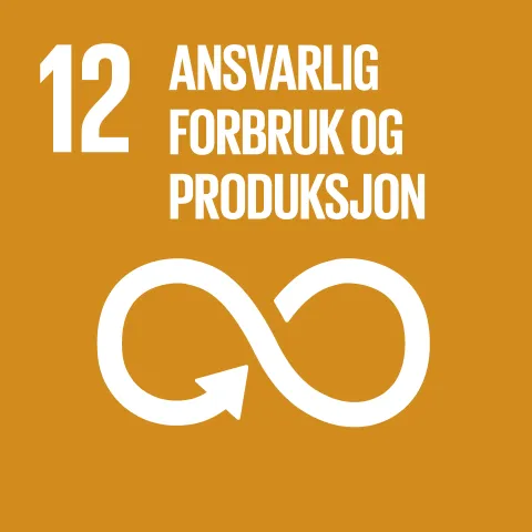 Mål 12