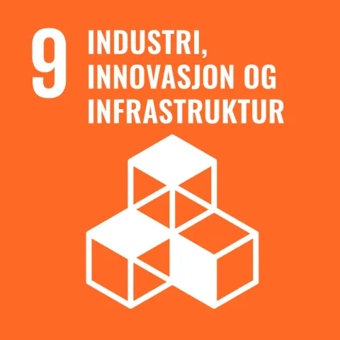 Mål 9