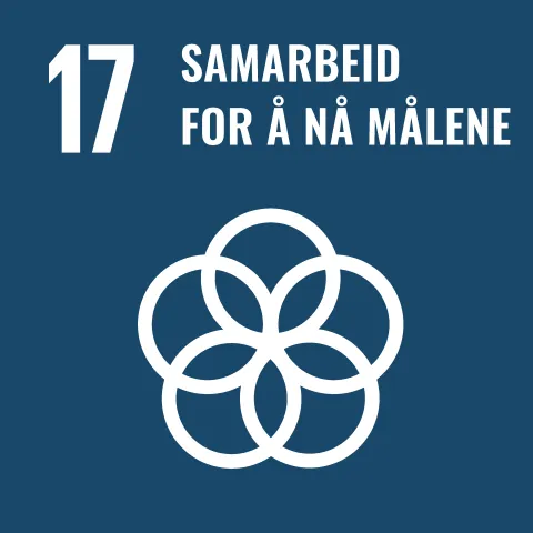 Mål 17