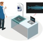 Illustrasjon av en person som bruker røntgen på en fisk